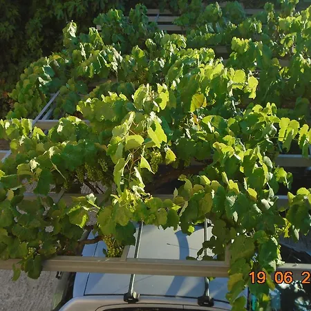 Apartment Chris & Irene Studio Corfu (city)